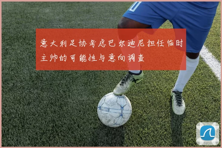意大利足协考虑巴尔迪尼担任临时主帅的可能性与意向调查